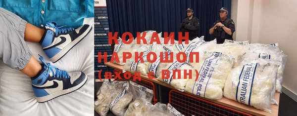 винт Алексин