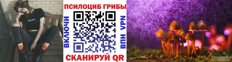 гидра маркетплейс  магазин  наркотиков  Ухта  Псилоцибиновые грибы Psilocybe 
